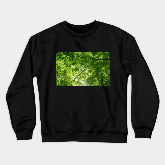 Green Tree Canopy Crewneck Sweatshirt by softbluehum